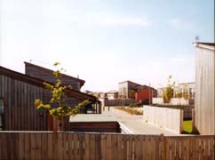 Lotus Way: Main View