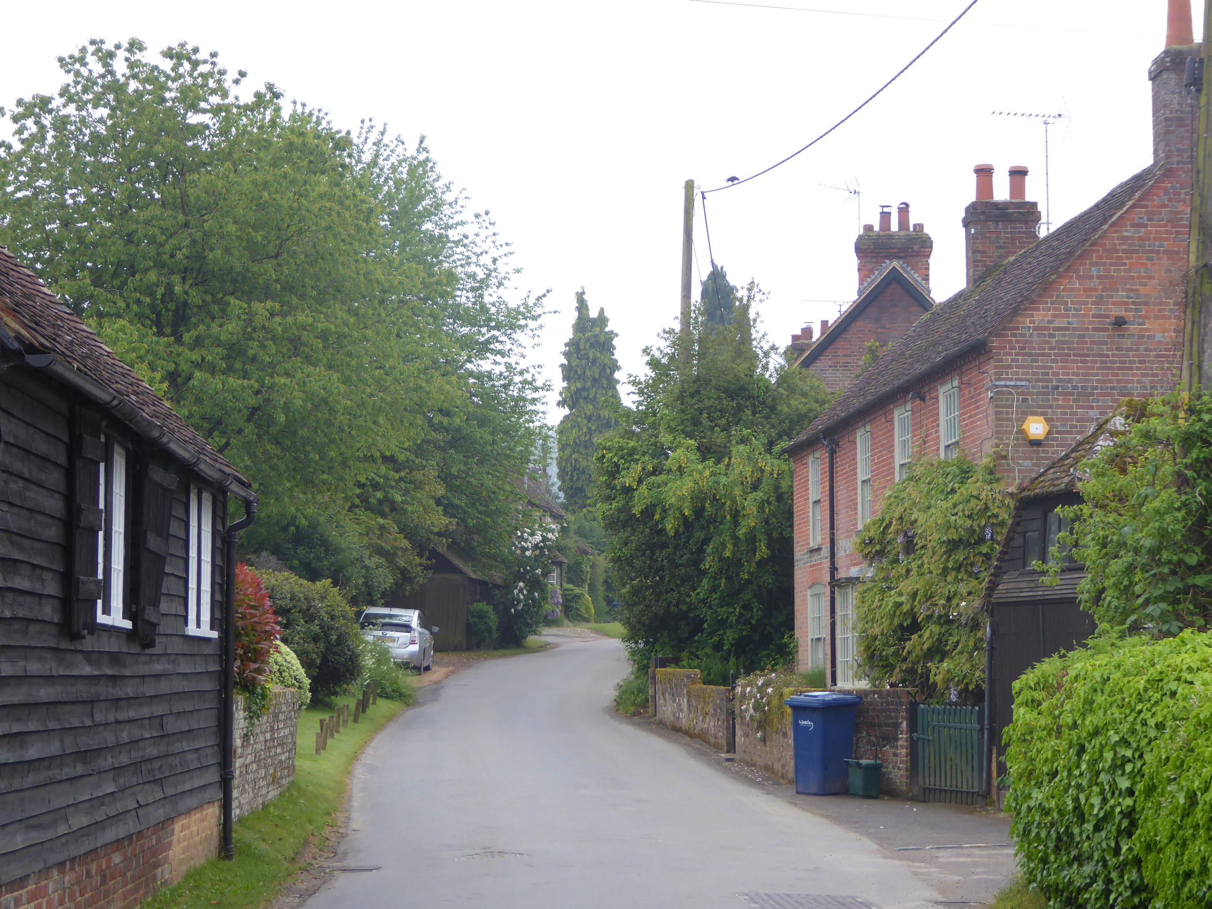 The Street, Thursley