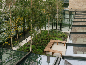 A glass atrium provides light and views so that residents can feel connected.