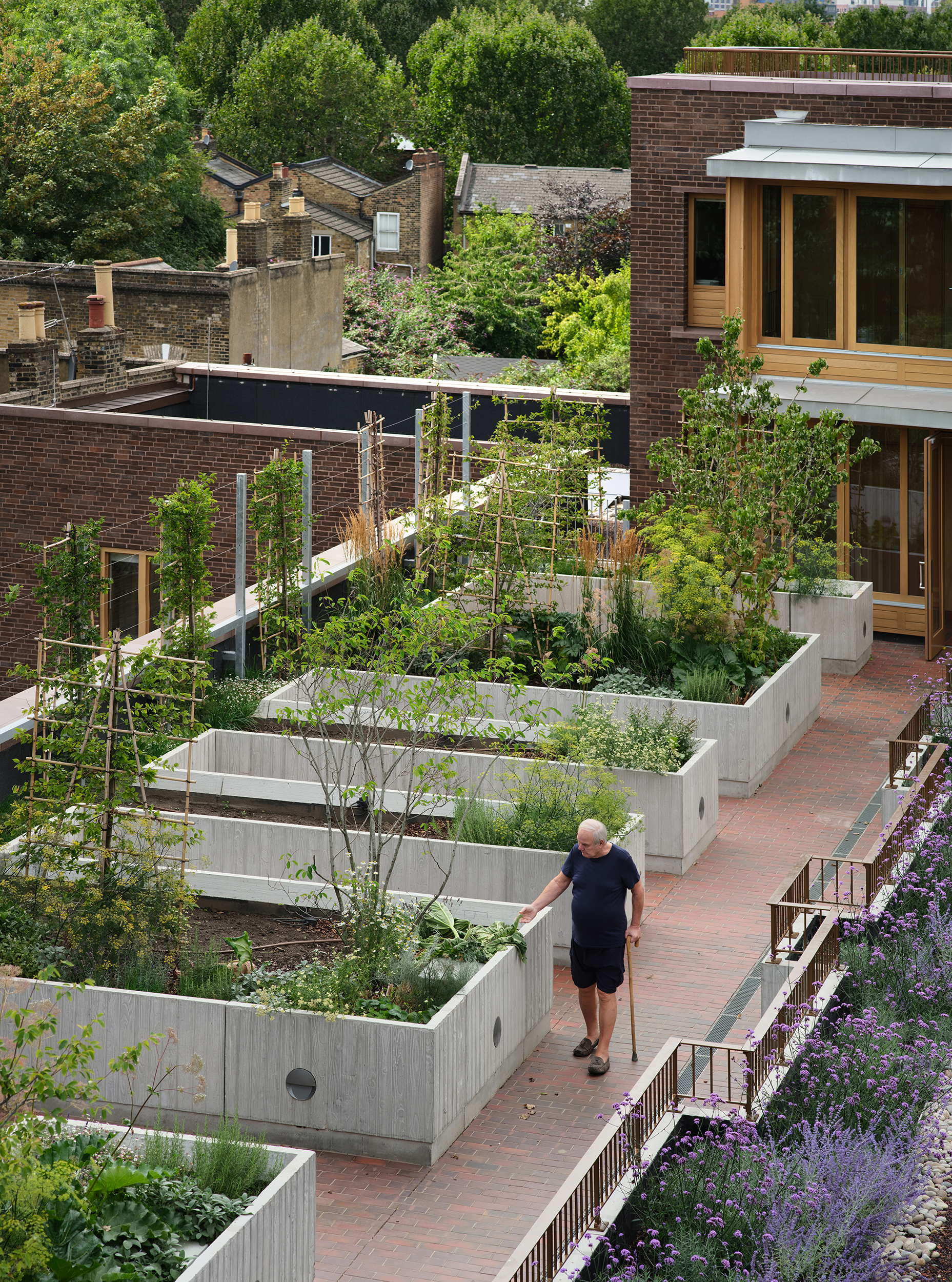 Residents  Roof Garden, with beds for growing food for use in the ground floor cookery school 