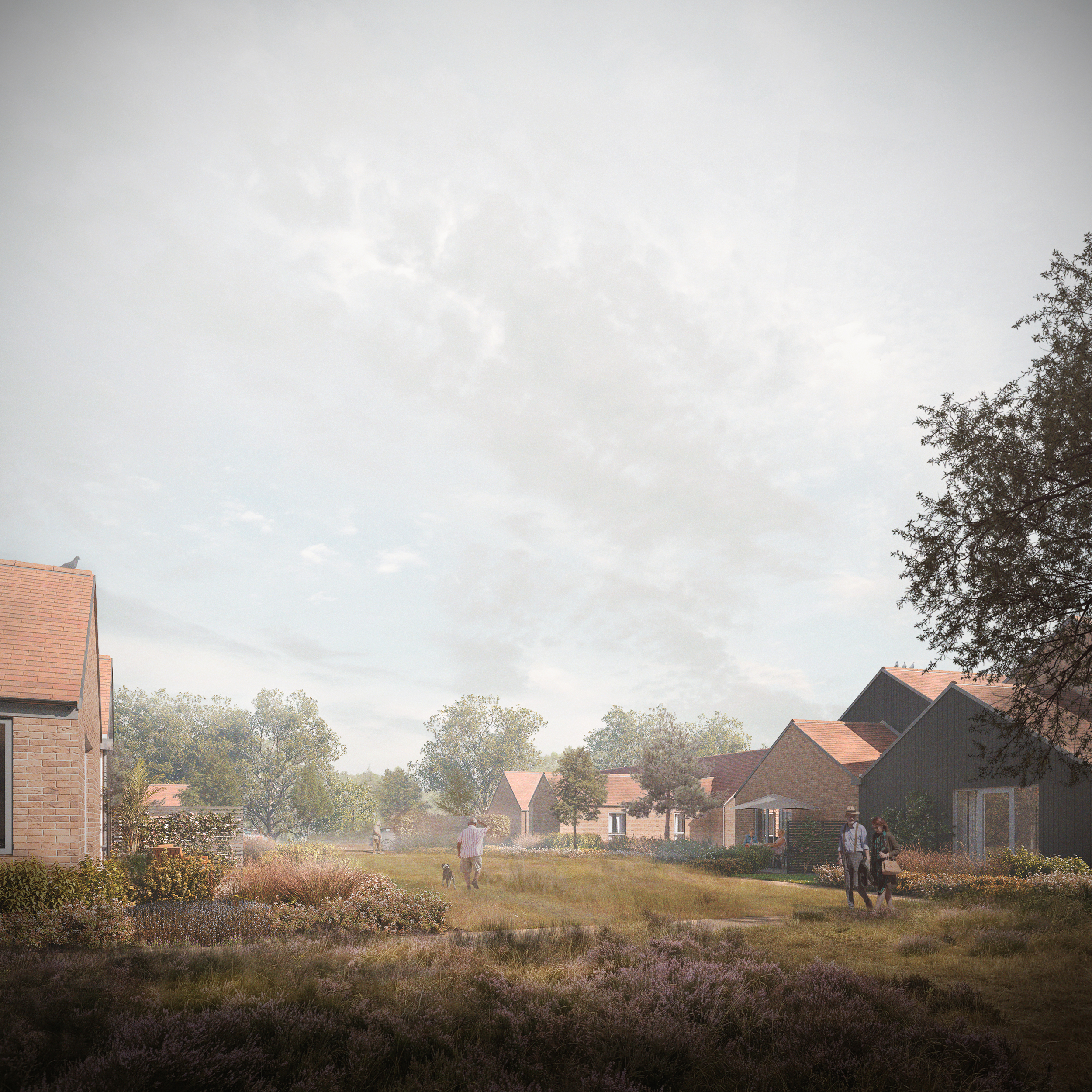 View of the landscape between the back to back bungalow units