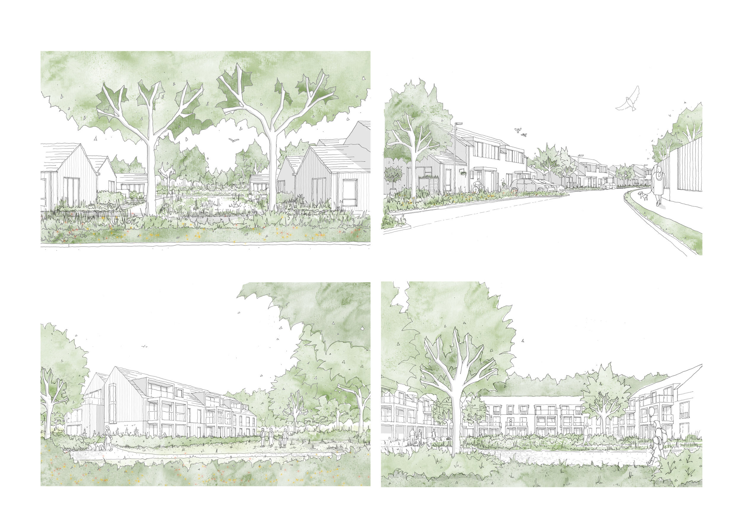 Sketch development with South Downs National Park consultations