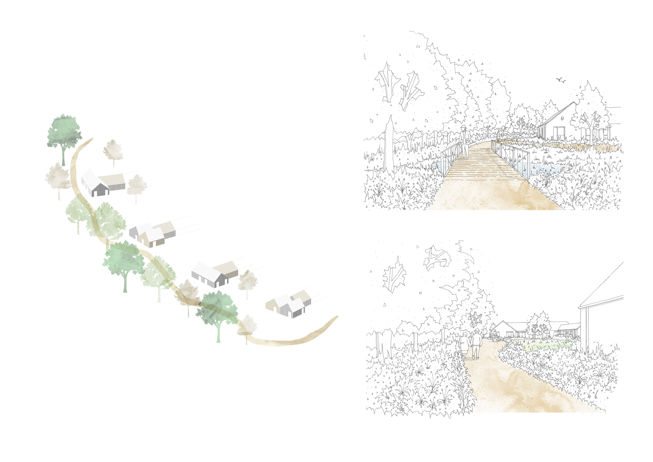 Sketch development with South Downs National Park consultations