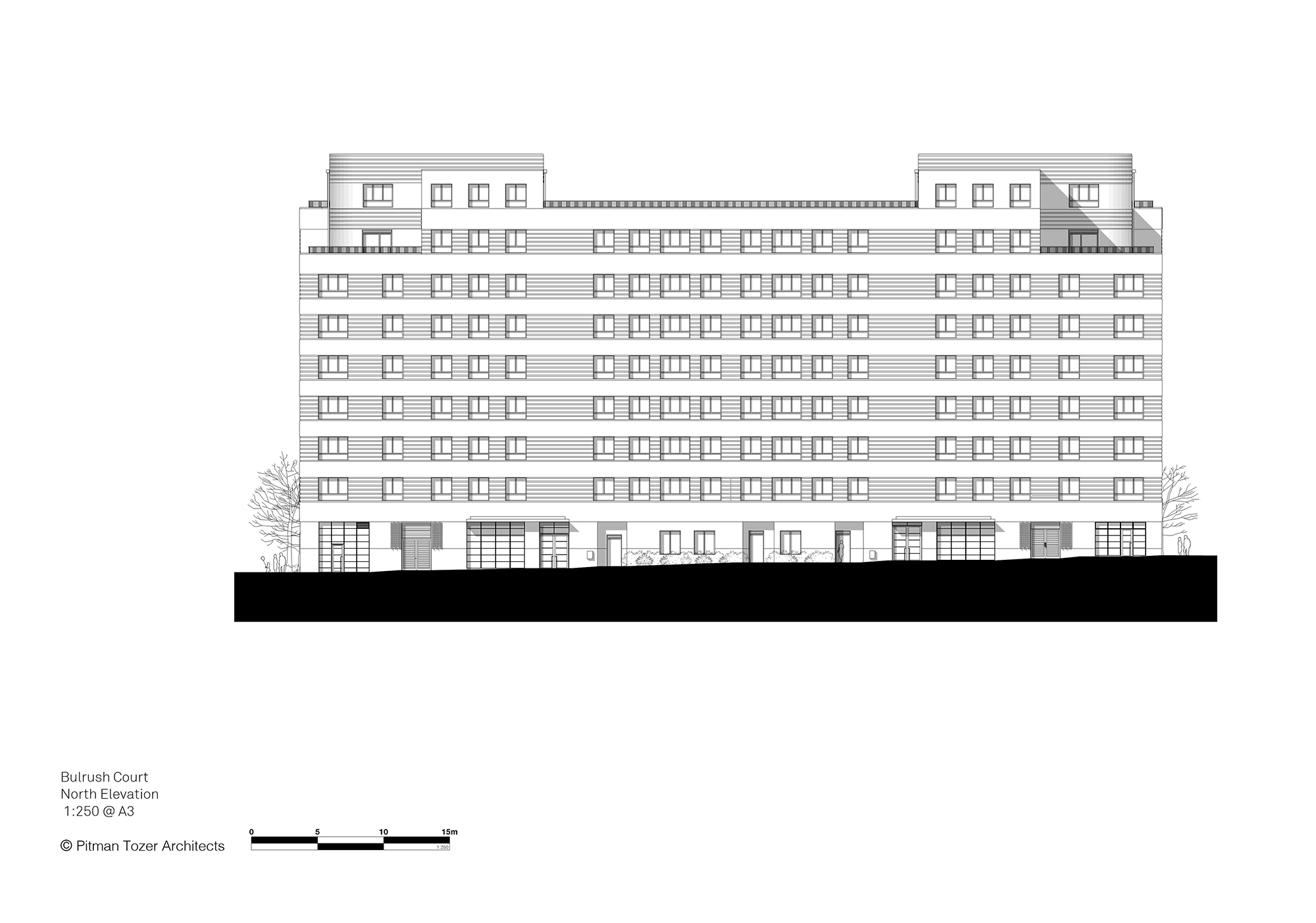 Bulrush Court - North Elevation